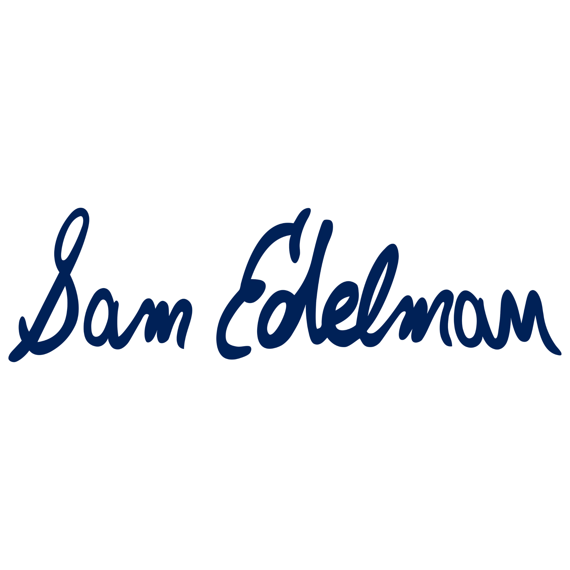 SE